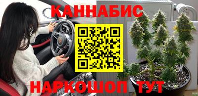 индика Котовск