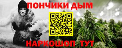 индика Котовск