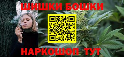 индика Котовск