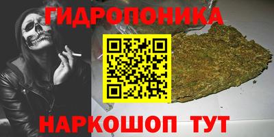 индика Котовск