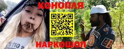 индика Котовск