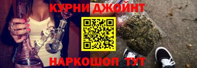 индика Котовск