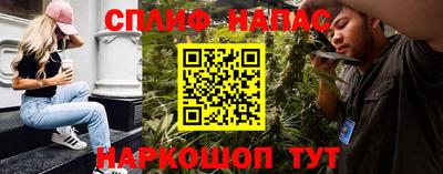 индика Котовск