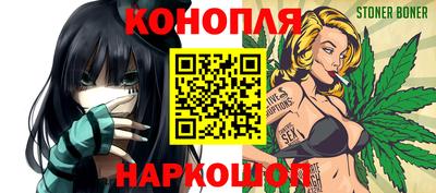 индика Котовск